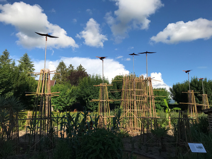 Photo de tours en bambou avec oiseaux girouettes.